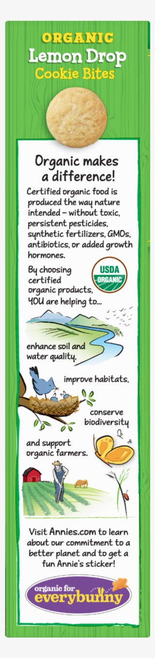 Annie's Organic White Cheddar Squares 7.5 Oz. Box