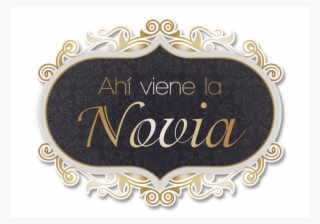 Letrero “ahí Viene La Novia” No - Calligraphy