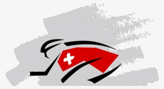 Without The Swiss Flag