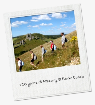 Who Wouldn't Love To Enjoy A Picnic With The Backdrop - Picnic
