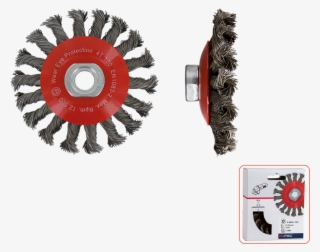 Saucer Cup Brush M14 - Racial Justice Network