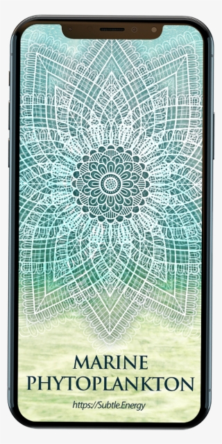 Marine Believe It Or Not The Regular - Smartphone