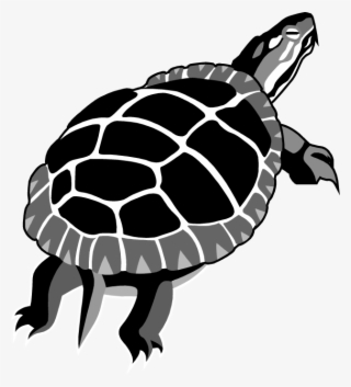 Oneida Nation Cultural Heritage Time Of Abundance Clan - Oneida Clans