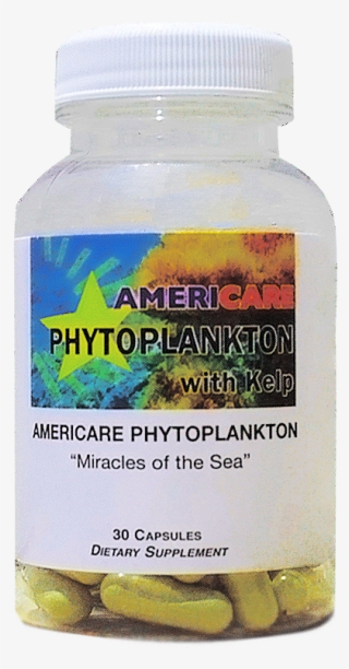 Phytoplankton