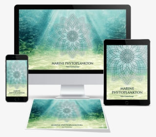 Marine Phytoplankton