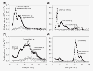 Size Distribution Of Phytoplankton Particles In Control - Diagram