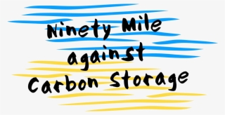 Co2 Sensitivity Of Southern Ocean Phytoplankton - Calligraphy