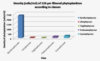 Figure 4 Percentage Abundance Of 63µm Filtered Phytoplankton - Bendravimas