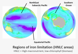 Picture - High-nutrient, Low-chlorophyll