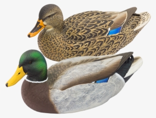 Livecraft Series Floating Mallard Duck Hunting Decoys - Final Approach Floating Mallard Decoys Six-pack