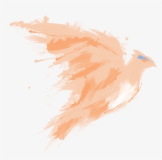 Ganymede's Girls University Is A Social Space Dedicated - Still Life