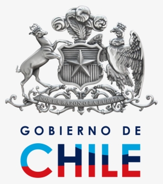 Logo Gobierno De Chile 2010 - Chile Coat Of Arm