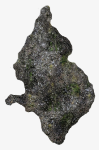 Moss Blu H 06 Feb 2009 - Outcrop