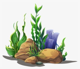 We Have Several Different Finance Options Available