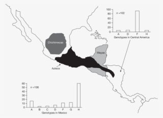 Distribution Of Hbv Genotypes In Central America And