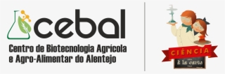 Documento De Apoio