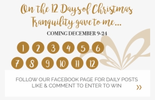 On Our Last 12 Business Days Before Christmas We Will