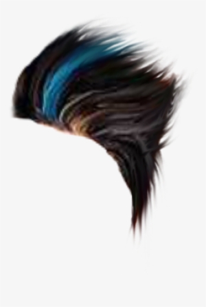 Hd Wall And Hair Png Srs - Magpie