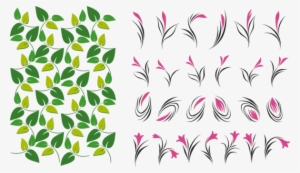 Petal Leaf Flower Plant Stem Green - Vector