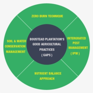 Overview - Good Agricultural Practices Palm Oil