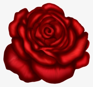 Red Rose Art Picture - Floribunda