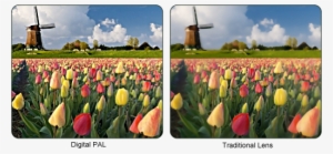 Europe Hostels & Travel Guide 2011