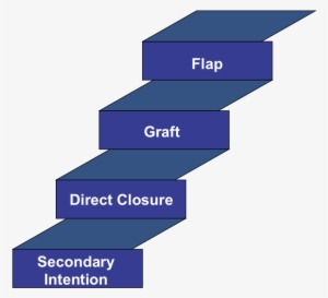 How To Fill A Hole - Reconstructive Ladder In Plastic Surgery