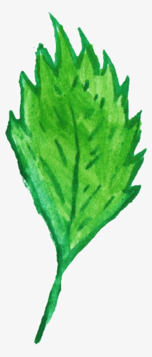 Free Download - Maple Leaf