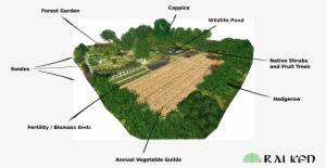 Balkan Ecology Project - Plantation