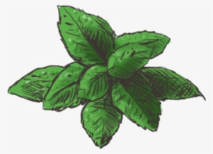 Mint Png Hd - Portable Network Graphics