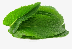 Mint Png