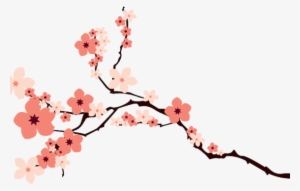 Image Cherry Blossoms By Krist N On Deviantart - Cherry Blossom Transparent Background