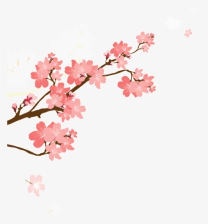 Korean Style Cherry Blossom Cartoon Transparent - Cherry Blossom