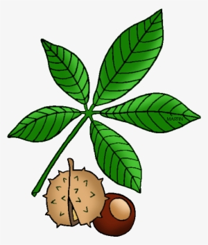 United States Clip Art By Phillip Martin - Buckeye Clipart
