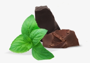 Pepermint Png - Mint And Chocolate Png