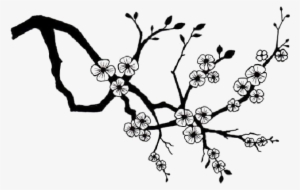 Sakura-blossom - Cherry Blossom Silhouette Png