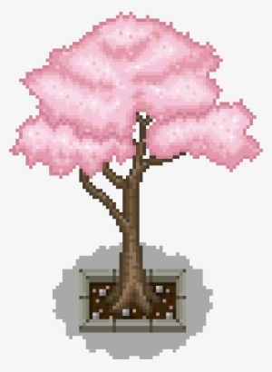 Tree ] - Slippery Elm