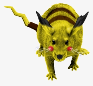 [ Img] - Rat Leptospirosis