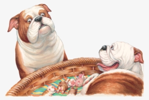 5 - Portable Network Graphics