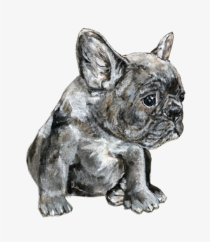Frenchie - Portable Network Graphics