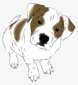 Drawn Bulldog American Bulldog - Draw A American Bulldog Puppy