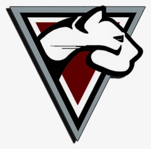 Puma Recorders And Software - Software