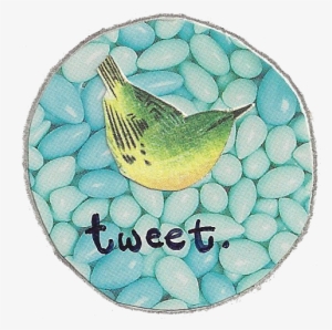Facebook Twitter Pinterest - Budgie
