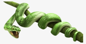Green Snake - Snake Png