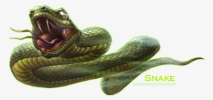 Snake Png Clipart - Portable Network Graphics
