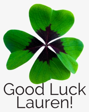 Nebdn Implant Nursing Exam - Stairlift