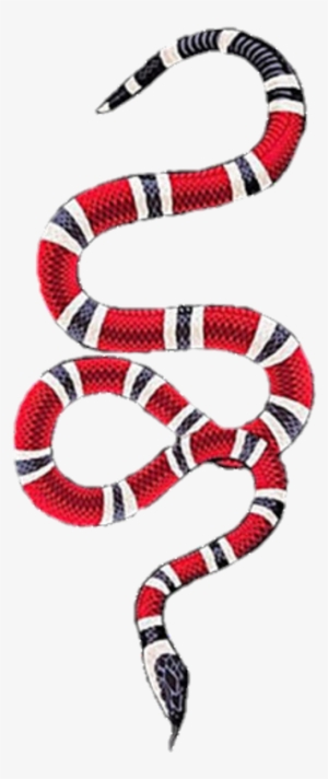 Gucci Snake Png - Iphone Se Gucci Case