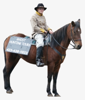 In Fact, There Is A Team Of Dedicated Real Life Ghost - Stallion