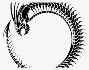 Ouroboros Png Transparent Images - Ouroboros Png