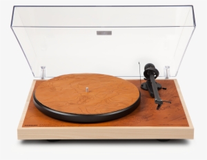 Birch & Modern Saddle